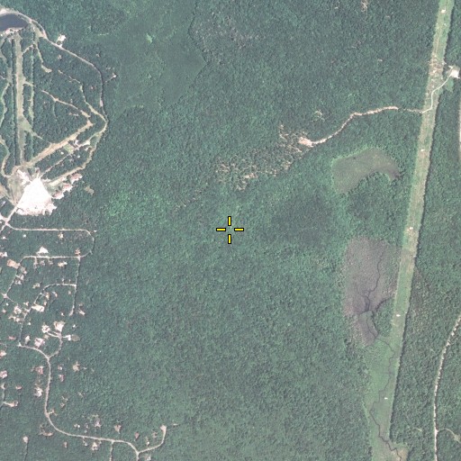 Aerial/Satellite Image of White Deer Trail, PA