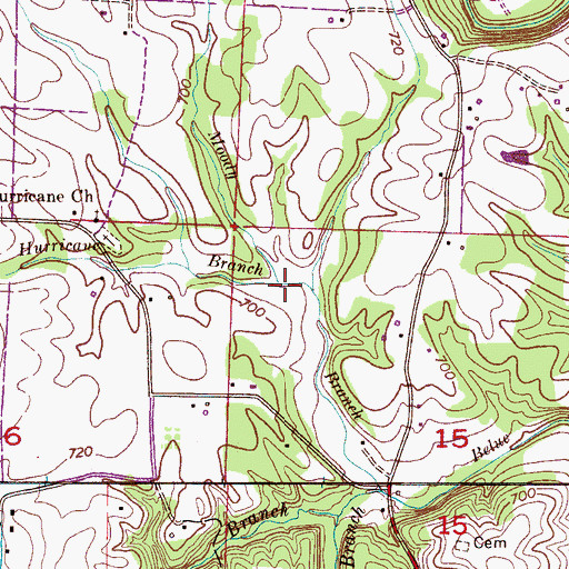 Topographic Map of Hurricane Branch, AL