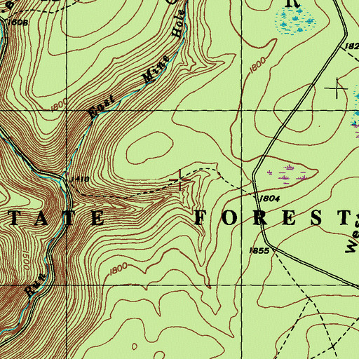 Topographic Map of Lloyd Trail, PA