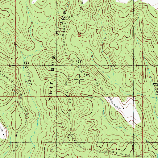 Topographic Map of Hurricane Ridge, AL