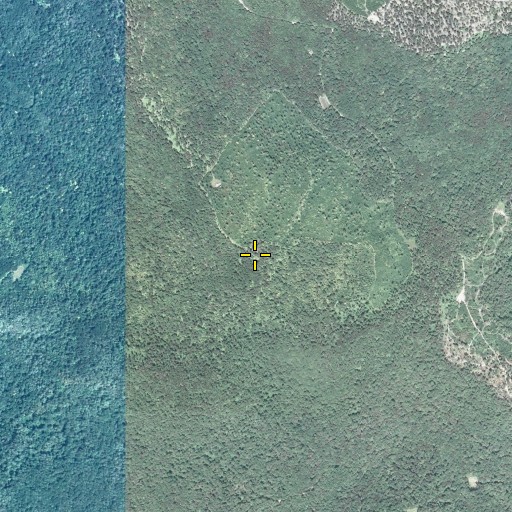 Aerial/Satellite Image of Sprout Point Fire Tower, PA