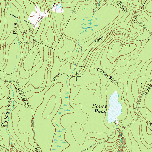 Topographic Map of Rock Run Trail, PA