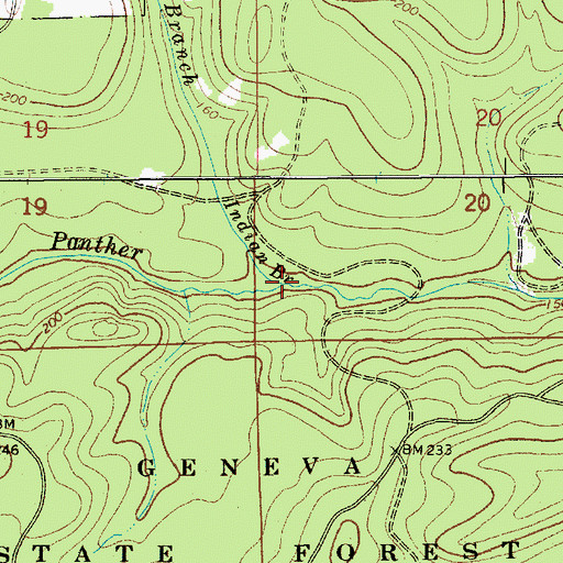 Topographic Map of Indian Branch, AL