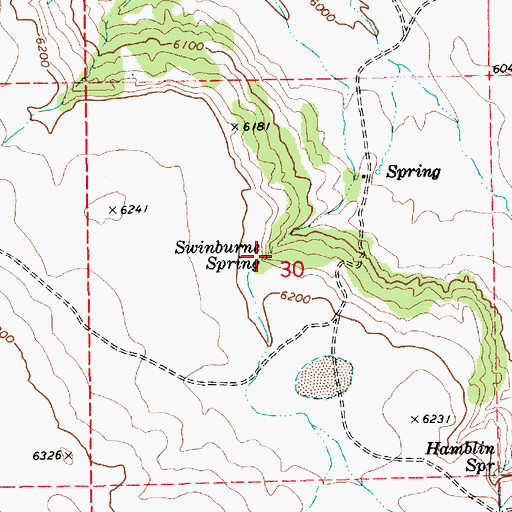 Topographic Map of Swinburne Spring, AZ