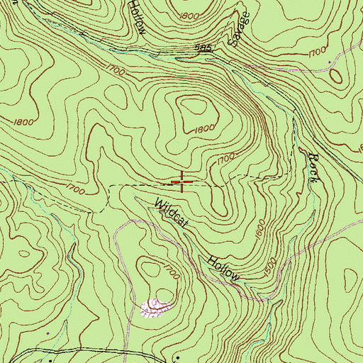 Topographic Map of Wildcat Trail, PA