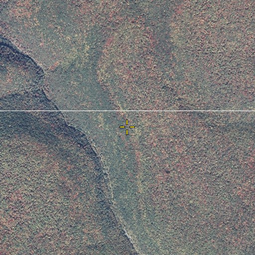 Aerial/Satellite Image of Mitchell Trail, PA