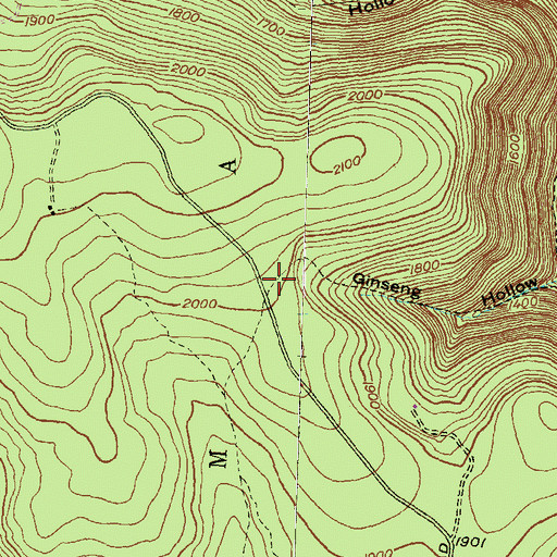 Topographic Map of Ginseng Hollow Trail, PA