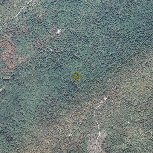 Aerial/Satellite Image of Cider Path, PA