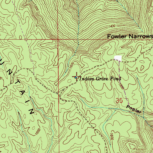 Topographic Map of Indian Grave Pond, AL