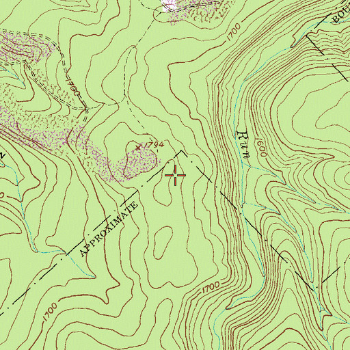 Topographic Map of Black Bear Trail, PA