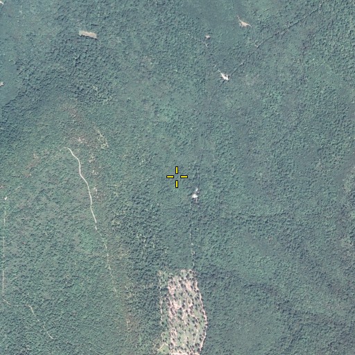 Aerial/Satellite Image of Refuge Trail, PA
