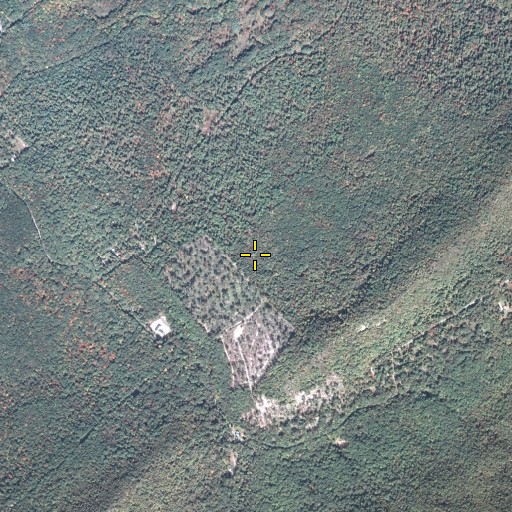 Aerial/Satellite Image of Rexroth Trail, PA