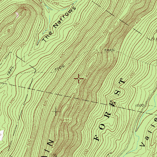 Topographic Map of Forbes Road Trail, PA