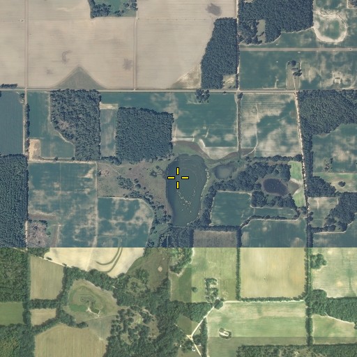 Aerial/Satellite Image of Indigo Pond, AL