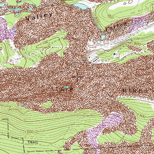 Topographic Map of Whaleback, PA