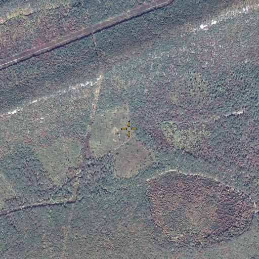 Aerial/Satellite Image of Musser Trail, PA
