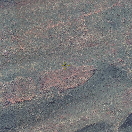 Aerial/Satellite Image of Libby Trail, PA