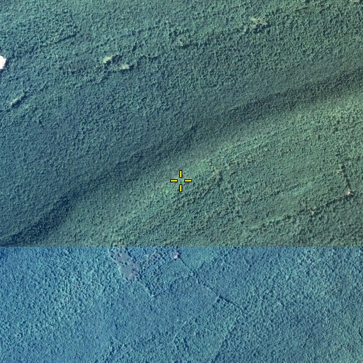 Aerial/Satellite Image of Sharpback Trail, PA