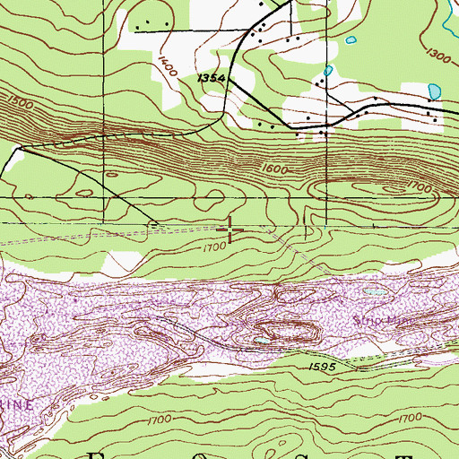 Topographic Map of Buck Mountain Colliery, PA
