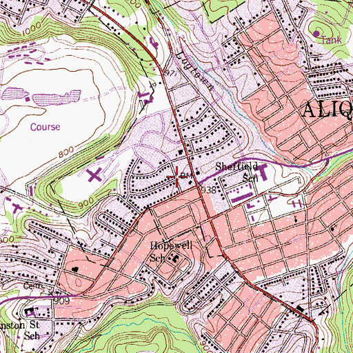 Topographic Map of Hopewell School, PA