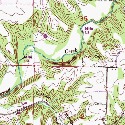 Topographic Map of Ivy Bluff, AL