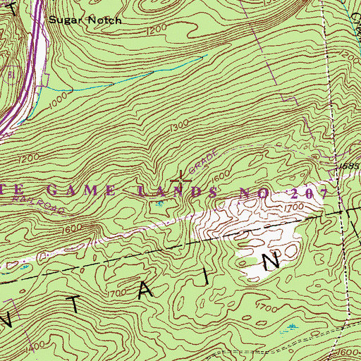 Topographic Map of State Game Lands Number 207, PA