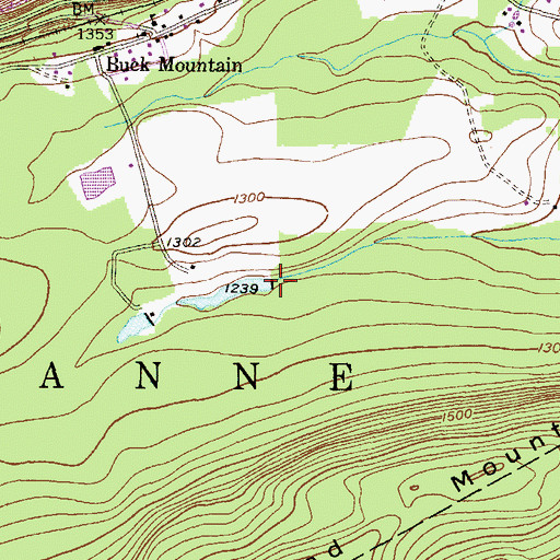 Topographic Map of Upper Buck Mountain Dam, PA