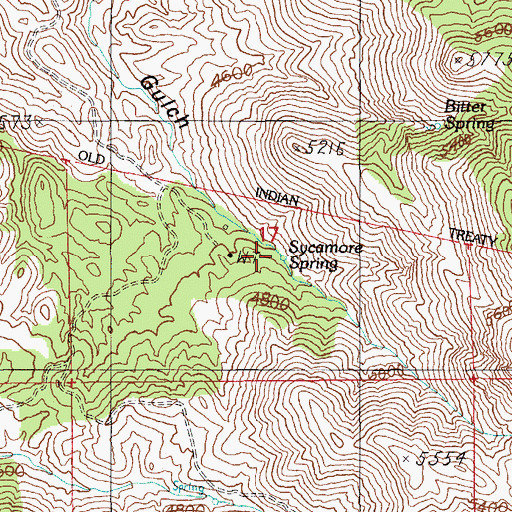 Topographic Map of Sycamore Spring, AZ
