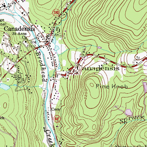 Topographic Map of Canadensis Hotel Dam, PA