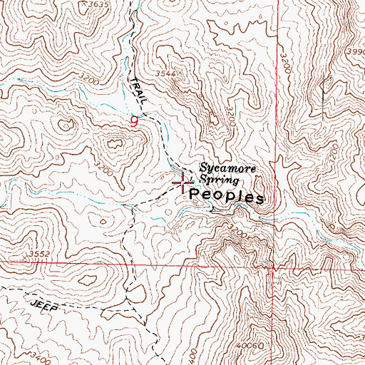 Topographic Map of Sycamore Spring, AZ