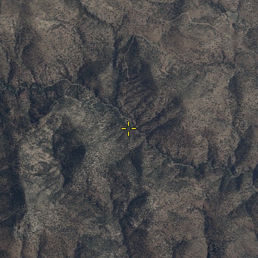 Aerial/Satellite Image of Sycamore Springs, AZ