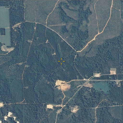Aerial/Satellite Image of Johnson Branch, AL