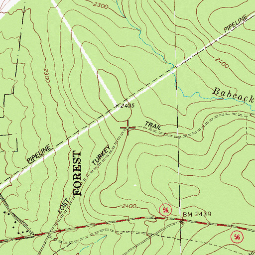 Topographic Map of Lost Turkey Trail, PA