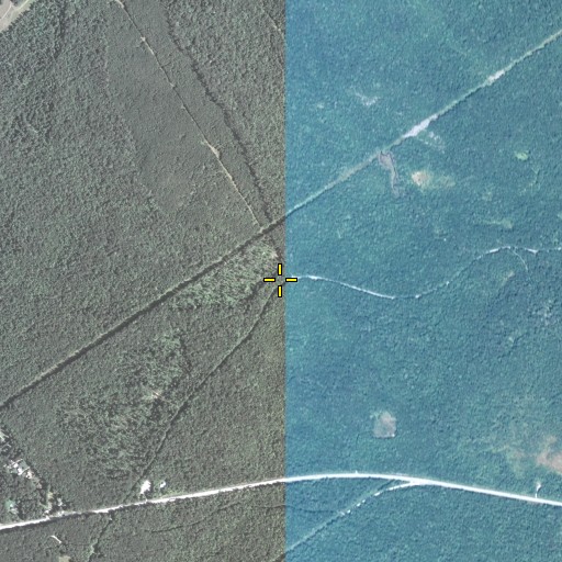 Aerial/Satellite Image of Lost Turkey Trail, PA