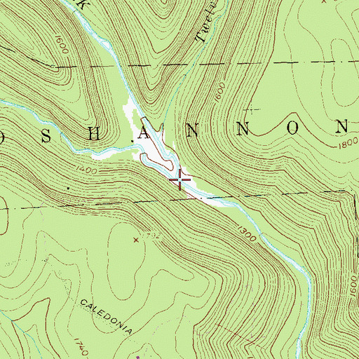 Topographic Map of Gifford Run, PA