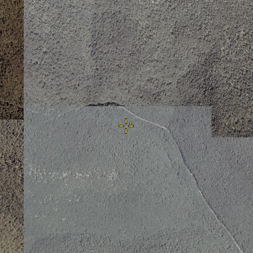Aerial/Satellite Image of Laurel Run, PA