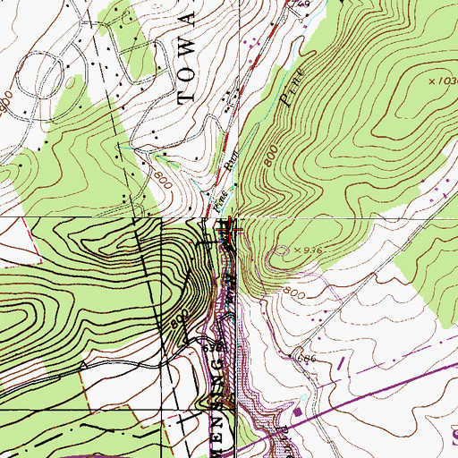Topographic Map of Pine Run, PA