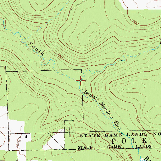 Topographic Map of Beaver Meadow Run, PA