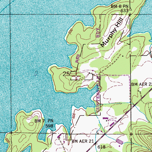 Topographic Map of Johnson Cemetery, AL