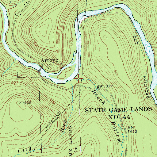 Topographic Map of Beech Bottom Run, PA