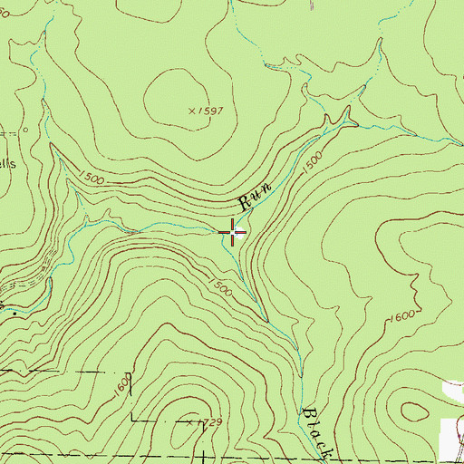 Topographic Map of Black Run, PA