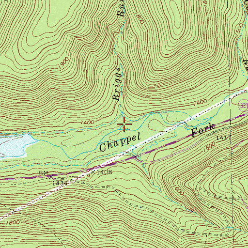 Topographic Map of Briggs Run, PA