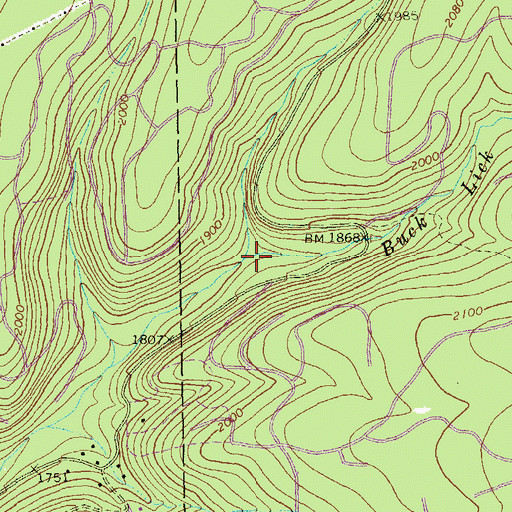 Topographic Map of Buck Lick Run, PA