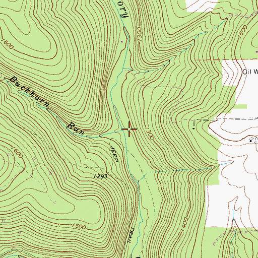Topographic Map of Buckhorn Run, PA