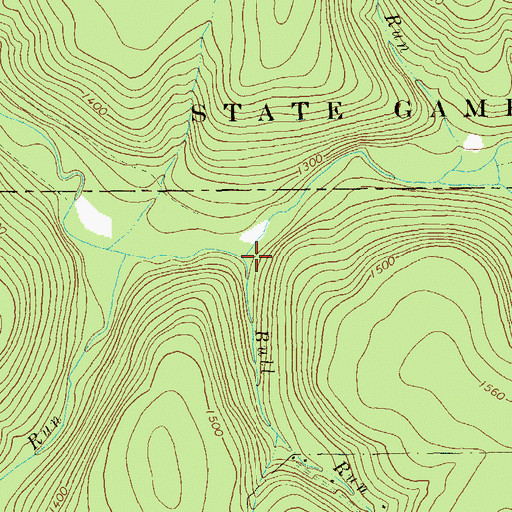Topographic Map of Bull Run, PA