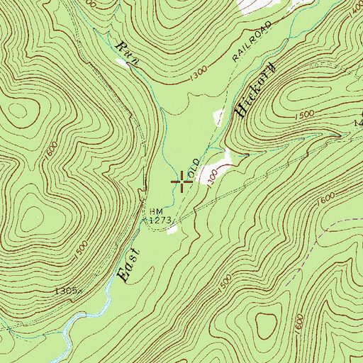 Topographic Map of Camp Run, PA