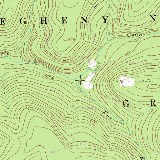 Topographic Map of Fox Run, PA