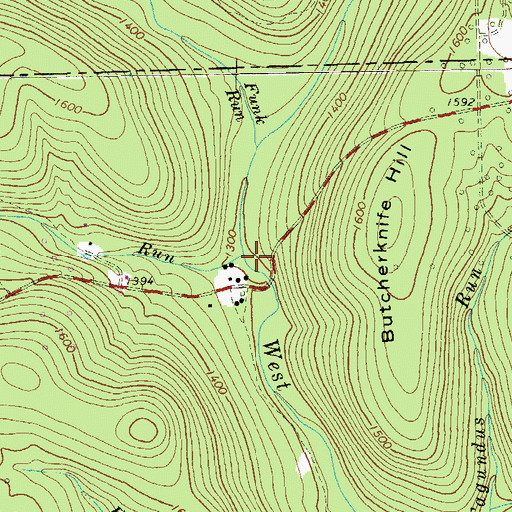 Topographic Map of German Run, PA