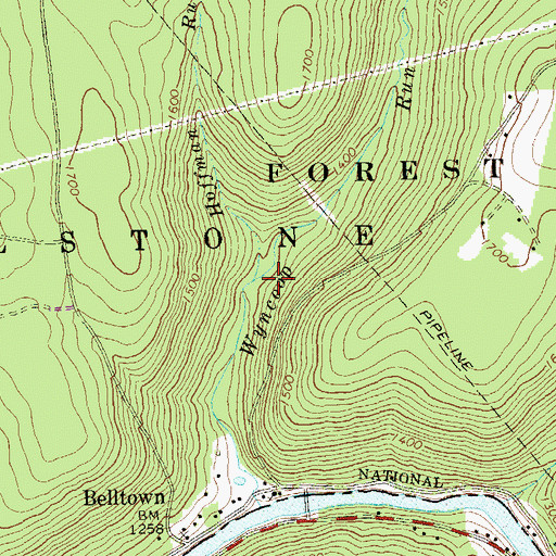 Topographic Map of Hoffman Run, PA