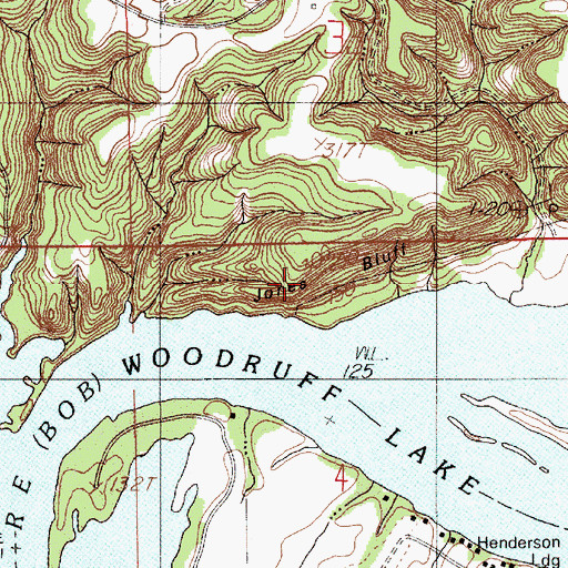 Topographic Map of Jones Bluff, AL